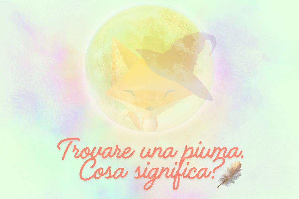 Trovare una piuma